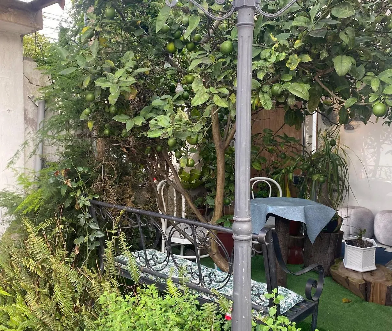 Pensión Calu L' Petit Hostel Quito Ecuador