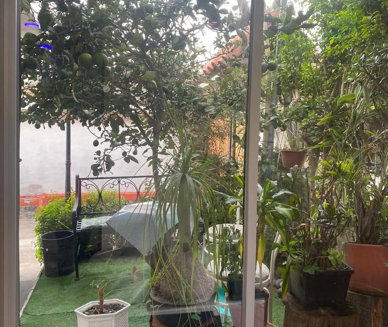 Calu L' Petit Hostel Quito