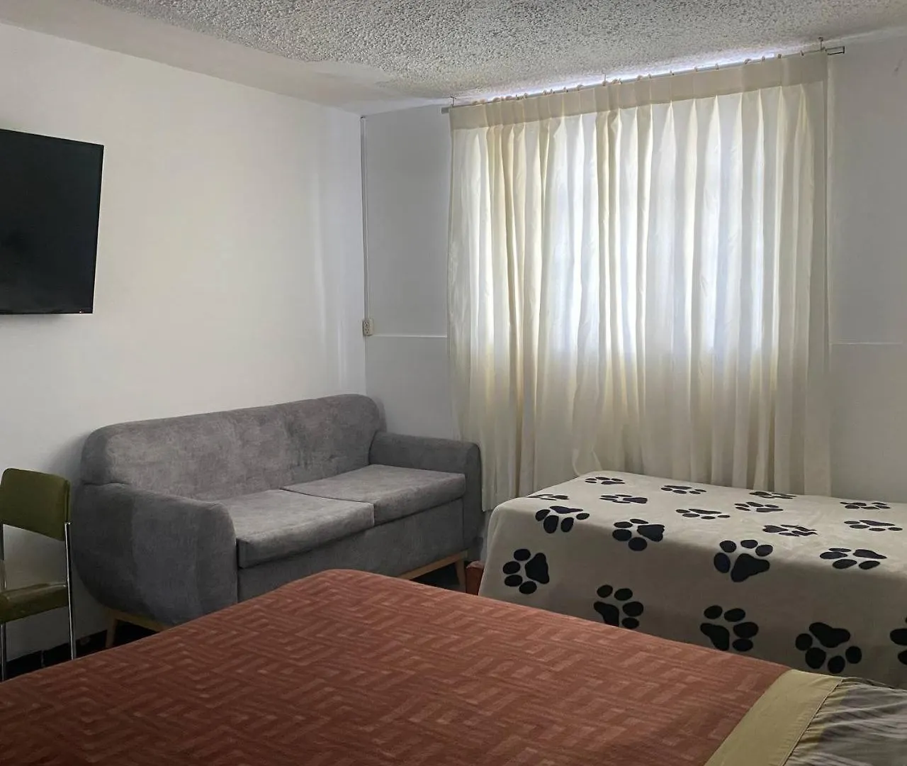 Calu L' Petit Hostel Κίτο 0*,  Ισημερινός